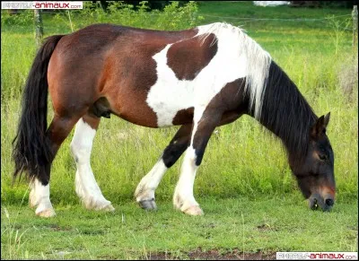 Très dur mais magnifique :