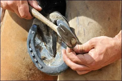Comment s'appelle la personne qui ferre les chevaux ?