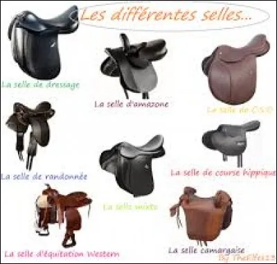 Combien y a-t-il de sorte de selle ?