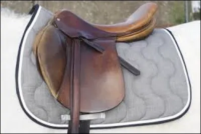 Quelle est la bonne dénomination ?