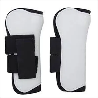 Commen s'appelle les protections placées sur les membres avant du cheval ?