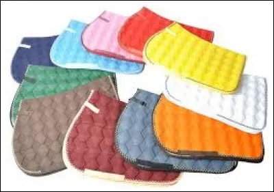 Comment s'appelle la chose que l'on place sous la selle ?