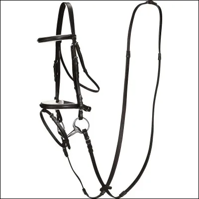 Quel objet place-t-on sur la tête du cheval pendant le travail ?