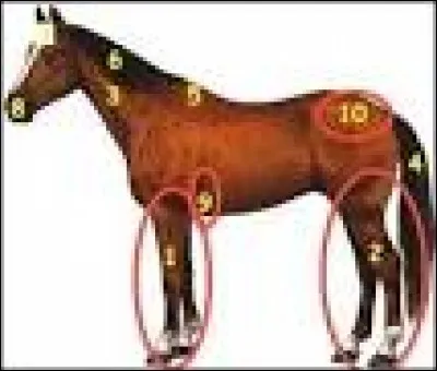 Comment appelle-t-on la partie n°1 sur l'image ?