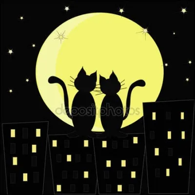 Cette constellation est "La Grande Ourse" :