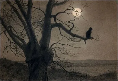 C'est une "nuit claire" :