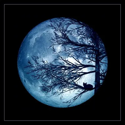 Il n'y a pas un "nuage" :