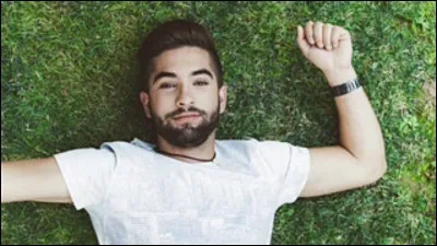 Et pour finir, qui est ce chanteur ?