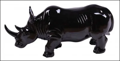 Quel est cet objet ?