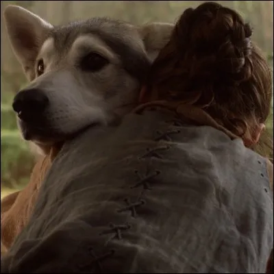 Quel prénom Arya Stark a-t-elle attribué à son loup ?