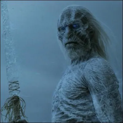 Par quel moyen peut-on tuer un marcheur blanc ?