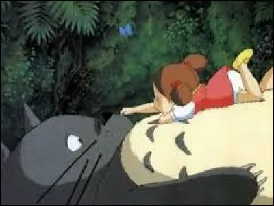 Qui dort sur le ventre de Totoro ?