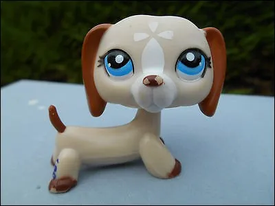 Comment s'appelle ce LPS ?