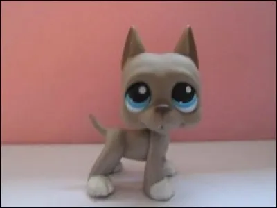 Les film du Boa (YouTube) a ce LPS.