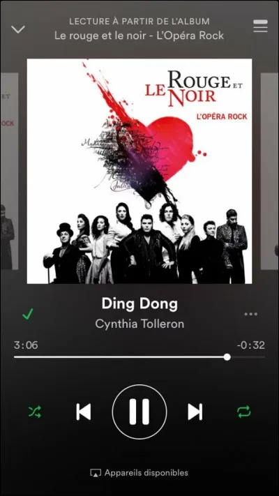 Qui sont les personnages qui interprètent ce duo ?