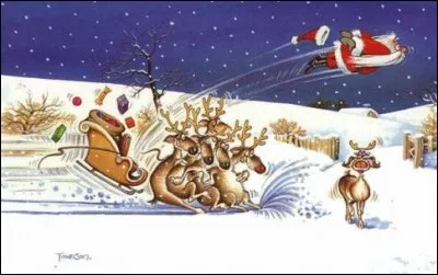 Quelle est la différence entre un curé et un sapin de Noël ?