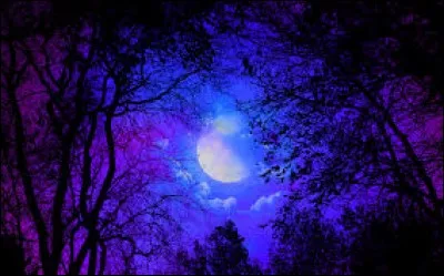 Que fait-on souvent, la nuit ?