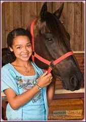 Qui est le cheval avec Dsi ?