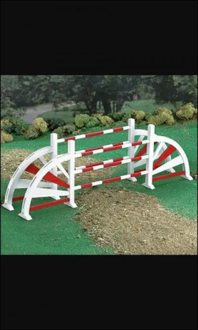 Quel nom de saut d'obstacle existe vraiment ?