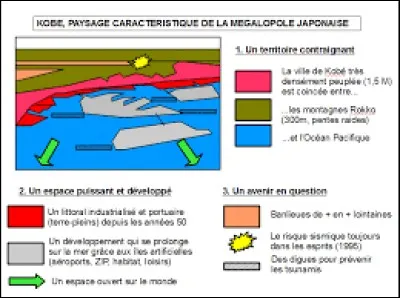Qu'est-ce qui est en gris ?