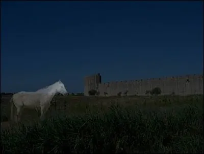 En voici un autre qui enlève les enfants et ceux-ci ne reviennent jamais. C'est le ...