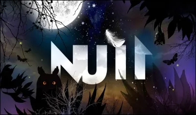 Je vais faire une courte .... dans un hôtel.