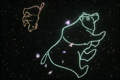 Quelle est sa forme ?