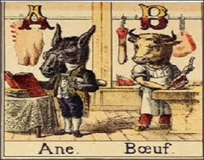 Puis vous avez appris à lire dans de merveilleux ouvrages illustrés.