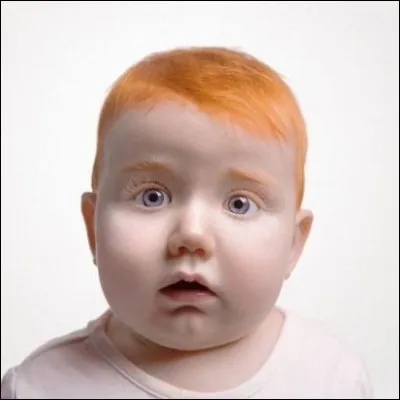 Combien de cartes sont rousses ?