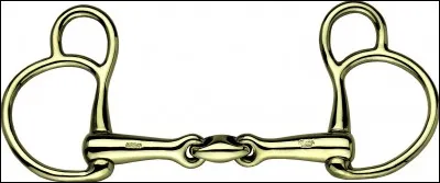 Quel est le nom de la liaison des 2 canons du mors ? 
(photo jointe à droite)