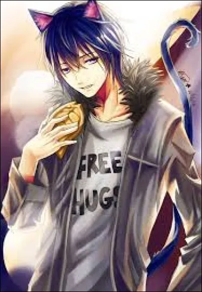 Pour cette dernière question, quel est ce personnage qui vient de "Shugo Chara!" ?