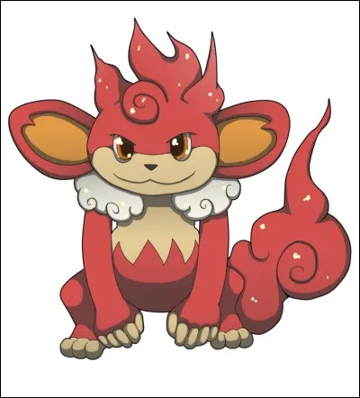 Comment s'appelle son évolution ?