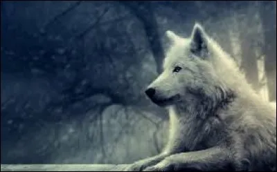 Quel sentiment compare-t-on à celui du loup quand il est intense ?