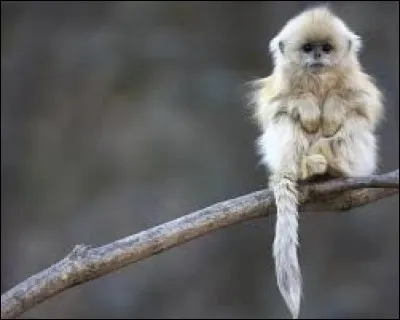 Comme quoi est-on malin ?