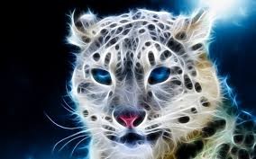 Quiz Animaux