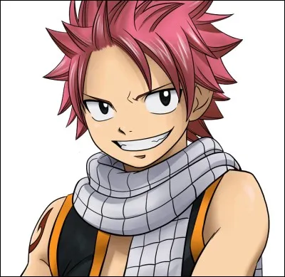 Quel est le pouvoir de Natsu ?