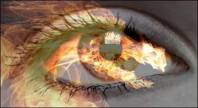 ''I See the FIRE'' est une chanson qui illustre le générique de fin du film ''Le Hobbit : La Désolation de Smaug'' du réalisateur...