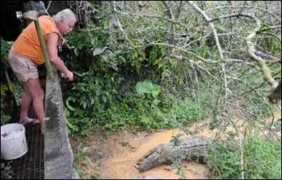 Ce saurien est un caïman noir, trouvez le nom de cette région française !