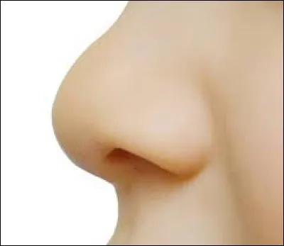 Ce quiz est maintenant termi... !