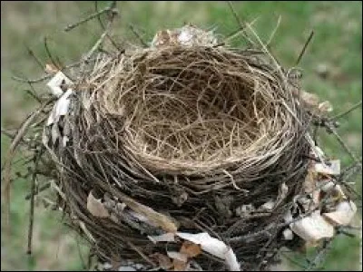 Enchaînons avec une marque de voitures la célèbre : Lamborghi...