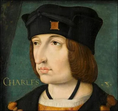 Comment meurt Charles VIII ?