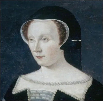 Qui fut pendant plus de vingt ans la favorite d'Henri II ?