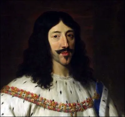 Après combien d'années de mariage Louis XIII eut-il enfin une descendance ?