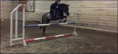 Quand un cheval saute, quels membres sautent en premier ?