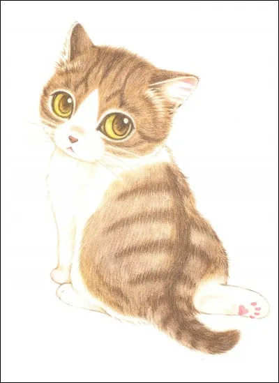 Ce personnage vient du manga :