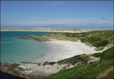 Où se situent les îles Malouines ?