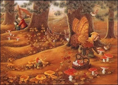 Que peuvent être les champignons que l'on peut admirer dans cette forêt ?