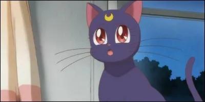 Dans "Sailor Moon", qui conseille Bunny ?