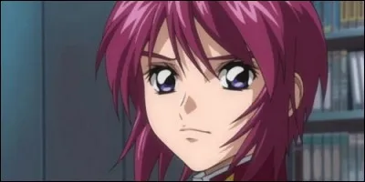 Dans "Mobile Suit Gundam SEED Destiny", quel personnage pilote un Gunner Zaku Warrior ?