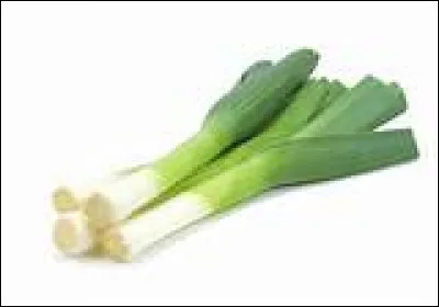 Quel est ce légume ?